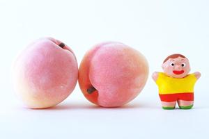 地域に愛され続けるお弁当の名店『お弁当のつるや』：美味しさと手軽さを両立した仕出しサービス