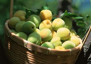 かまどか 秋葉原店 – 鶏素揚げ・肴・釜めしの魅力