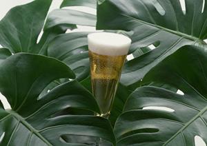 新橋で楽しむ至極の居酒屋体験！おすすめの穴場スポットと美味しい料理ガイド
